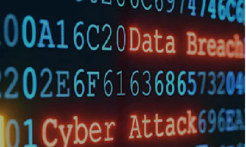What to do in the first 24 hours of a data breach